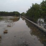 Penyebab dan Cara Mengatasi Banjir Rob talud untuk mengatasi banjir rob